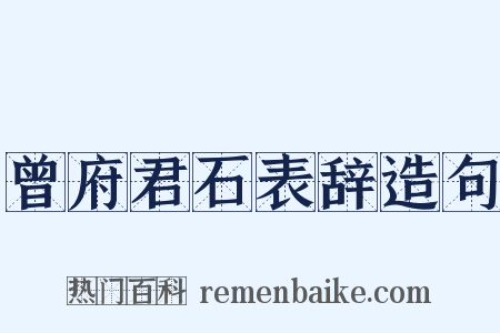 曾府君石表辞造句是什么意思的图片